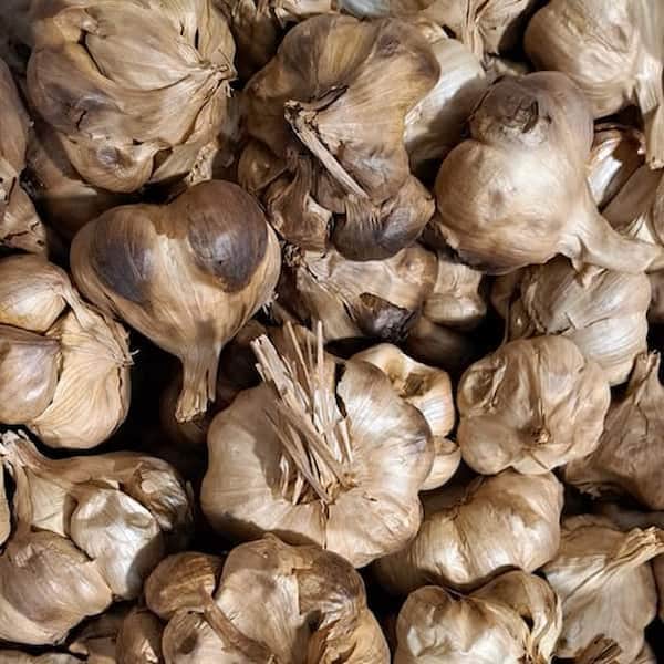 تصویر 4 از خرید سیر سیاه همدان + فروش صادراتی
